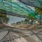 Manulife Sky Nets at Canopy Park